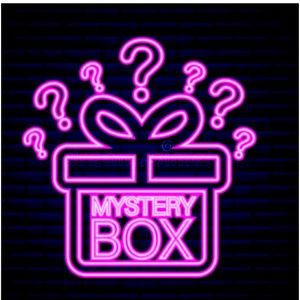 Designer/ Lux Mystery purse box?! What will you get?